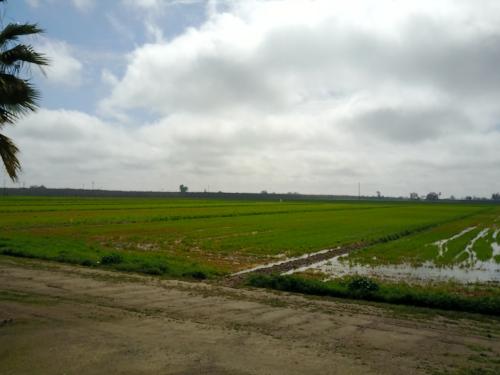728 E Laguna Laton Ca 93242